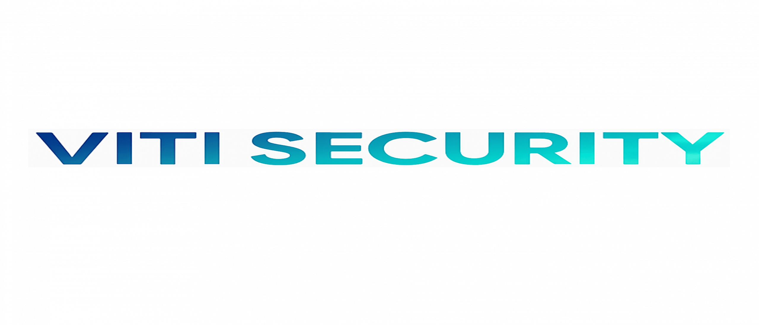 viti-security-logo